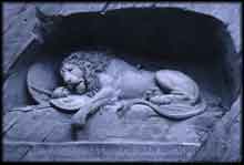 Lucerne lion