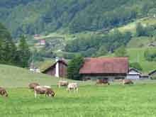 Jungfrau-Switzerland-Brunig2