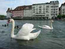 Ucerne-Switzerland--4