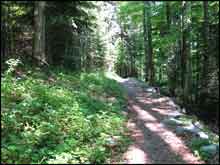 Ucerne-Switzerland--37