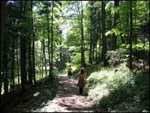 Ucerne-Switzerland--38