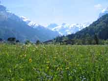 Ucerne-Switzerland--46
