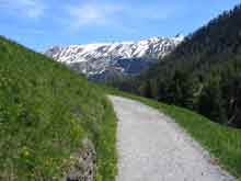Zermatt-Switzerland--4