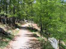 Zermatt-Switzerland--6
