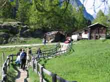 Zermatt-Switzerland--6