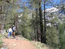 Zermatt-Switzerland--8
