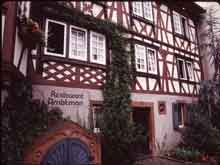 Heidelberg-Germany-31