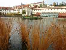 Prague-Czech-Republick-76