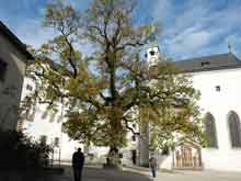 Salzburg-Austria--4