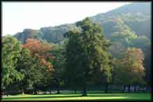 Heidelberg gardens