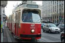 Vienna ring