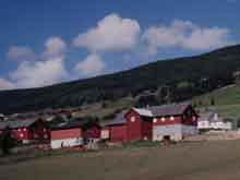 bergen