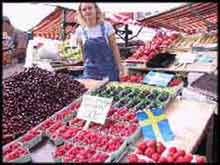Stockholm-Sweden-Scandinavia-7