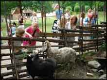 Stockholm-Sweden--Skansen-3