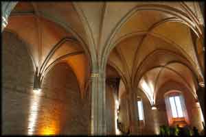 Avignon 7