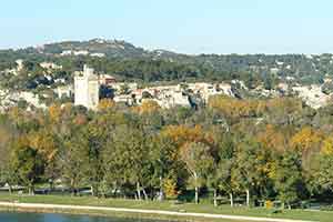 Avignon,7  France