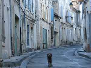 Arles, 15 France